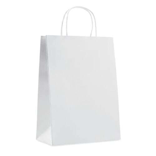 Large Paper bag