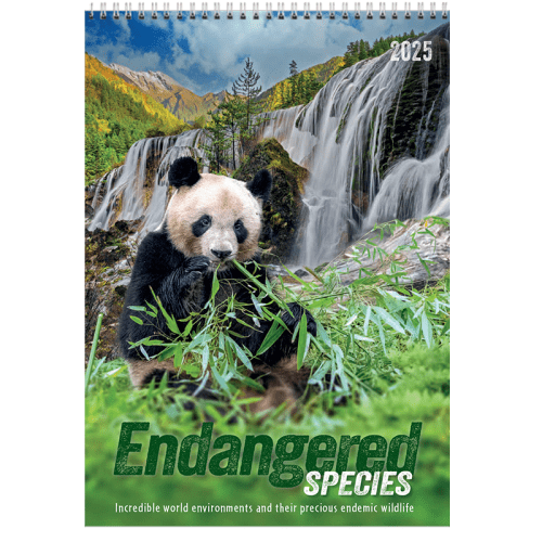 endangered species wall calendar
