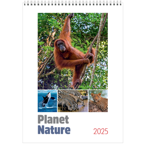 Planet Nature Memo calendar 2025