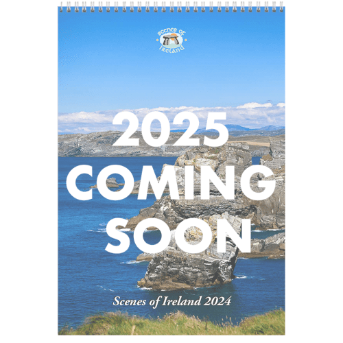 Memo Calendars 2025 Irish Wall Calendars Tara Slevin Group