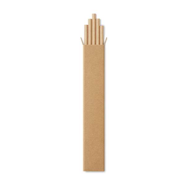 Set of 10 paper straws presented in a Kraft box