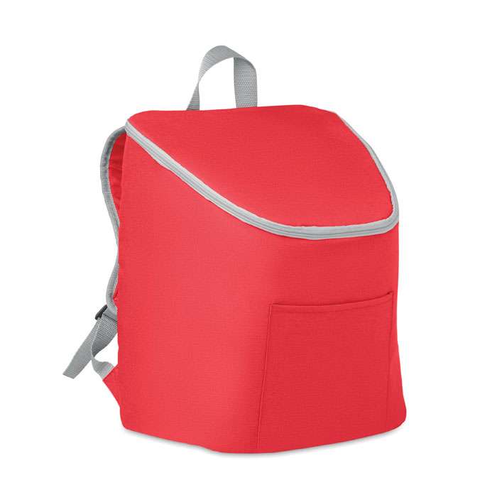 Cooler bag and backpack